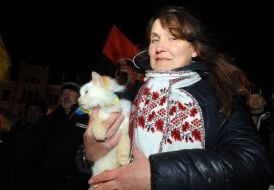 Participant of meeting on the occasion of the Day of Freedom and Dignity