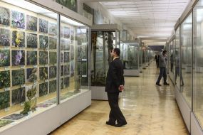 Exhibits in one of the halls of the museum