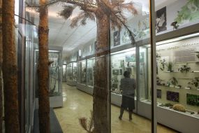 Exhibits in one of the halls of the museum