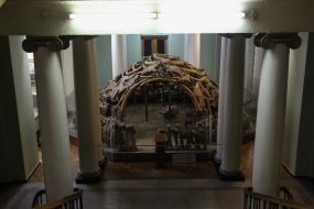 Exhibits in one of the halls of the museum