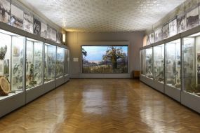 Exhibits in one of the halls of the museum