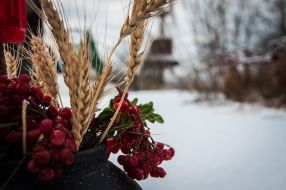 The composition of the ears and viburnum
