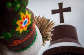 The composition of the ears 