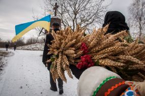 The composition of the ears and viburnum