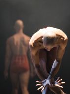 Complexions Contemporary Ballet