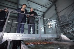 Volodymyr Groisman and Oleg Kryzhovachuk