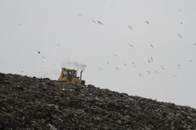 Полігон ТПВ №5