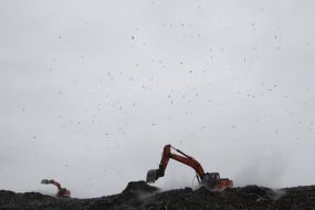 Полигон твёрдых бытовых отходов № 5 