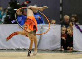 The tournament in rhythmic gymnastics "Bagira-2016"