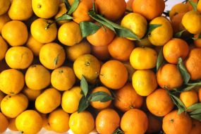 The mandarin