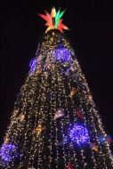 Главная новогодняя елка города