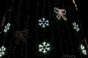 Главная елка Чернигова