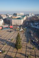 View of the main Christmas tree