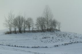 Winter in the Carpathians