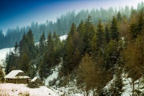 Winter in the Carpathians