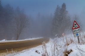Winter in the Carpathians