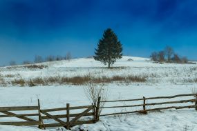 Winter in the Carpathians