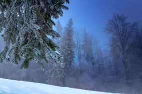Winter in the Carpathians