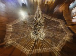 Christmas tree at the Sofia area