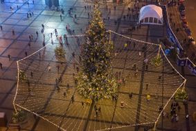 Christmas tree at the Sofia area