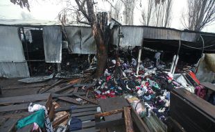 Consequences of fire