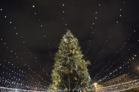 Christmas tree at the Sofia Square in Kiev