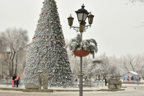 Christmas tree in Zaporozhye