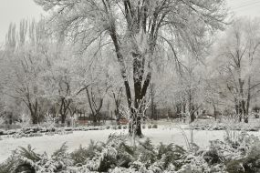 Winter in Zaporozhye