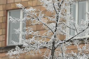 Winter in Zaporozhye