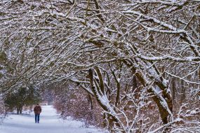 Winter in Uzhgorod