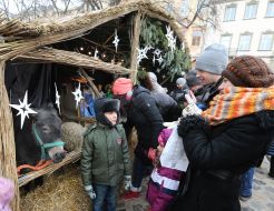 Мальчик фотографируется возле ослика