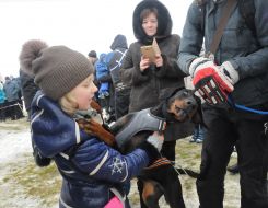 Девочка с собакой