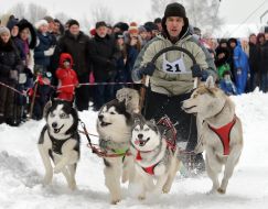 Гонки ездовых собак