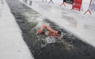 Фестиваль моржей "МоржиFest"