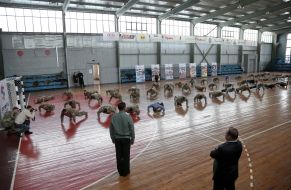 Participants of flashmob