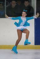 Чемпионат по фигурному катанию