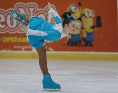 Чемпионат по фигурному катанию