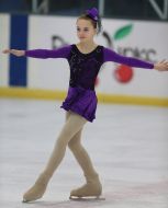 Чемпионат по фигурному катанию