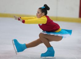 Чемпионат по фигурному катанию