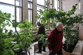 Kiev Geriatric pension