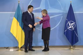 Meeting of Vladimir Groisman and Rose Gottemoeller