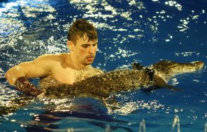 Presentation of "water and fire" at the circus