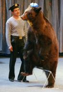 Presentation of "water and fire" at the circus