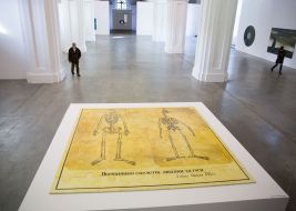 Еxibition "illusion of reality"