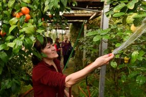The educational institution "Children's Park "Zaporozhye City Botanical Garden"