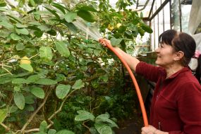 The educational institution "Children's Park "Zaporozhye City Botanical Garden"