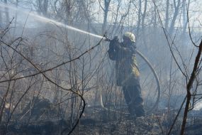 Eliminate ignition of dry grass