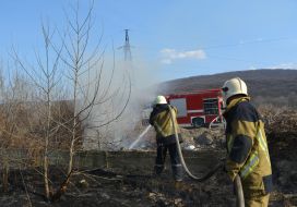 Eliminate ignition of dry grass