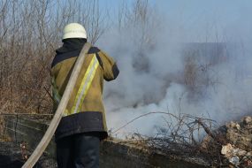 Eliminate ignition of dry grass