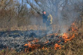 Eliminate ignition of dry grass